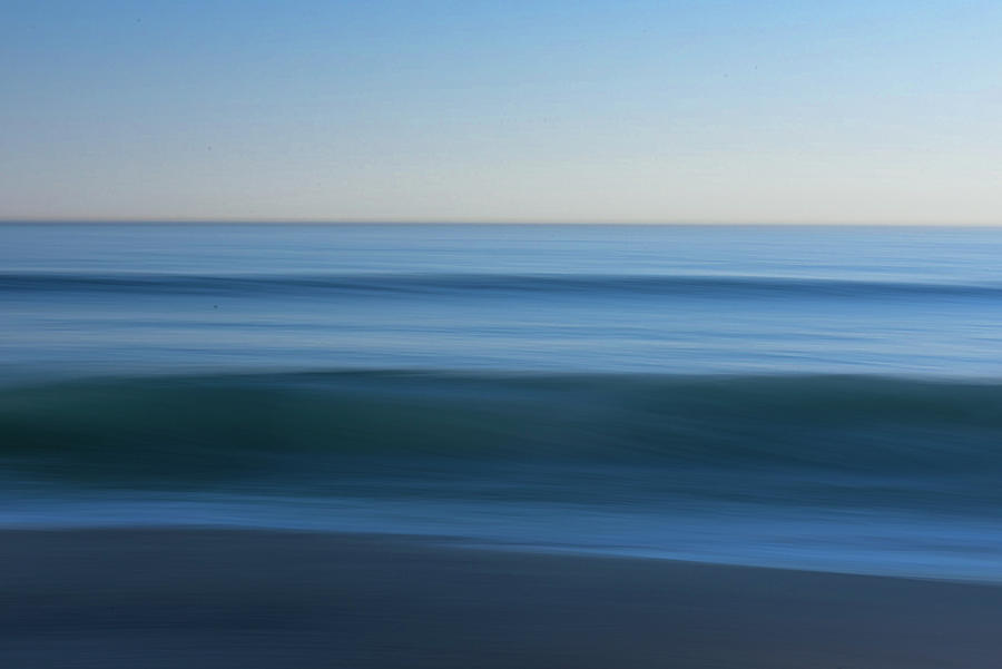 Deep Purple Photograph by Web Browning