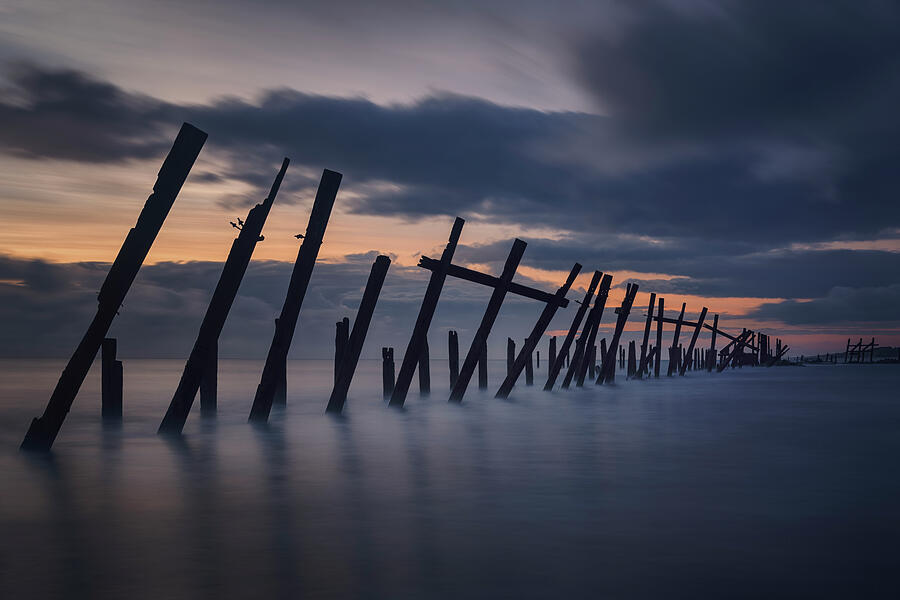 Defenceless Against the Dawn Photograph by Charnwood Photography Fine Art