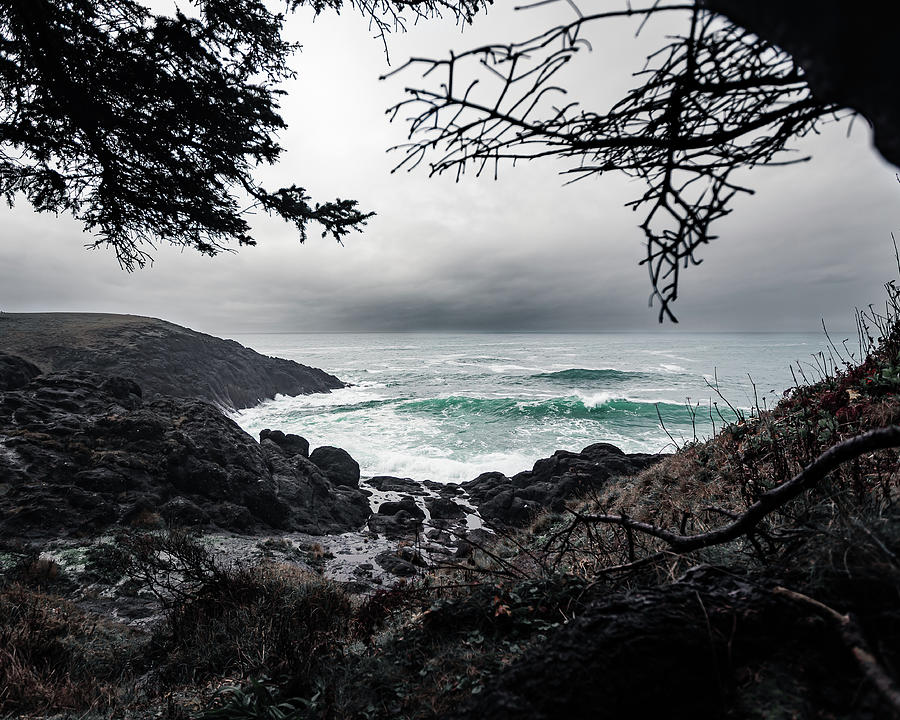 Depoe Bay, Oregon Photograph by Shannon Williams
