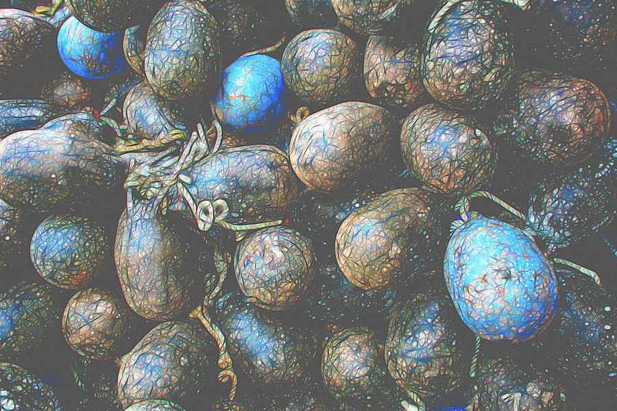 Designs on Aquaculture Photograph by Douglas Wielfaert