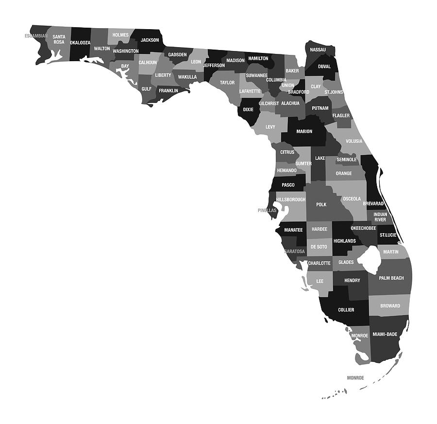 Detailed Map of Florida State with County Divisions Drawing by Bamlou