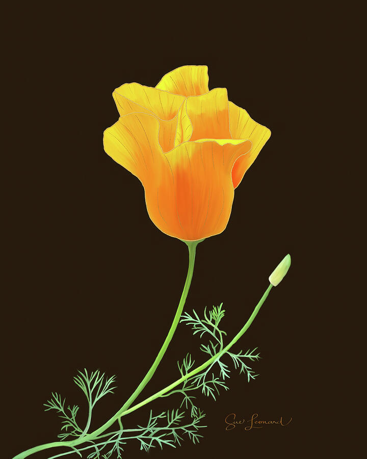 Golden Poppy on Dark Background Photograph - Digitally Painted Yellow tulip by Sue Leonard