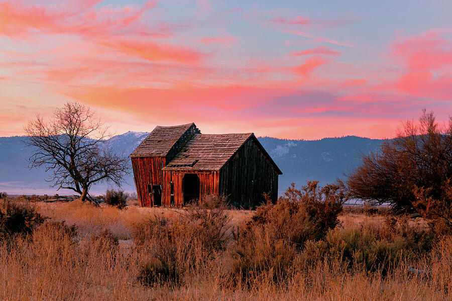 Dilapidated Dawn Photograph by Mike Lee