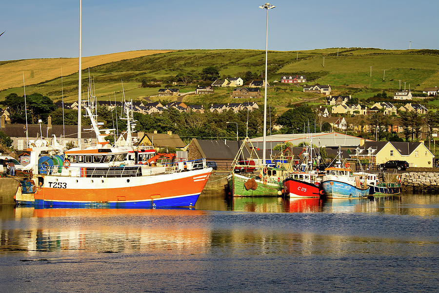 Dingle Fishing Fleet Photograph by Craig A Walker