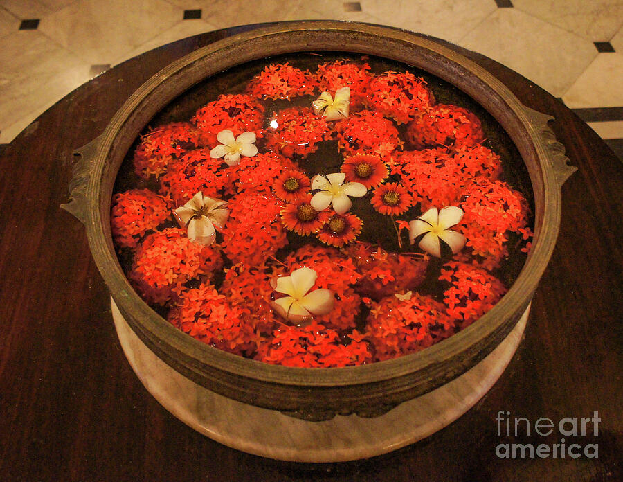 Diwali Photograph by Helo Art