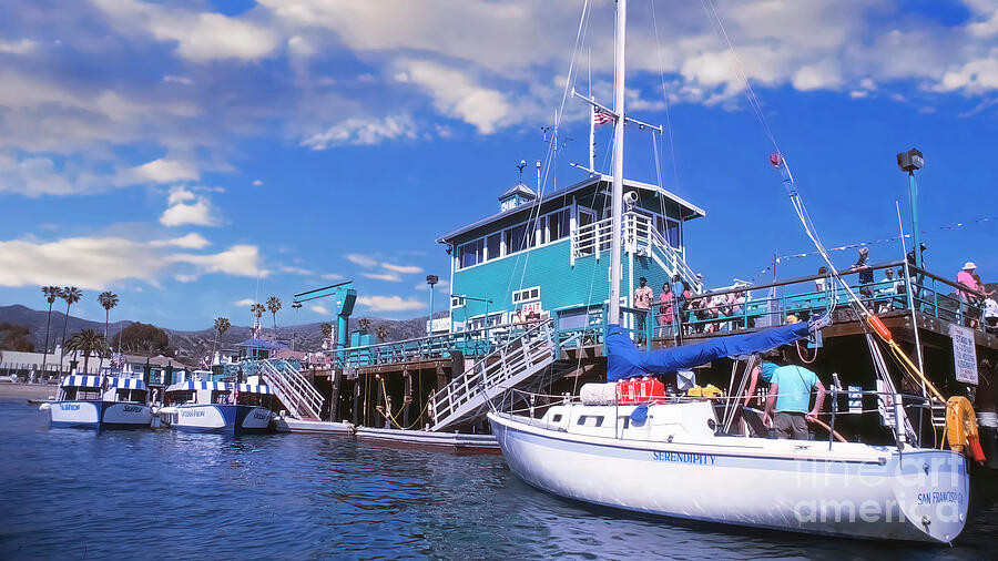Docking at Catalina Digital Art by William Gunn
