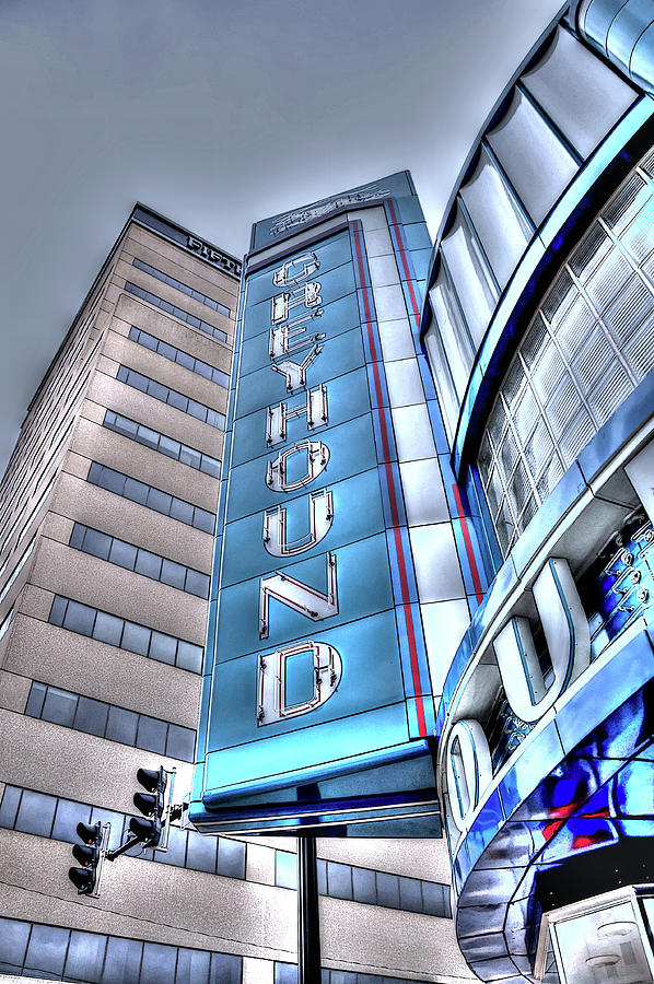 Dog Day Revival Photograph by Randall Dill