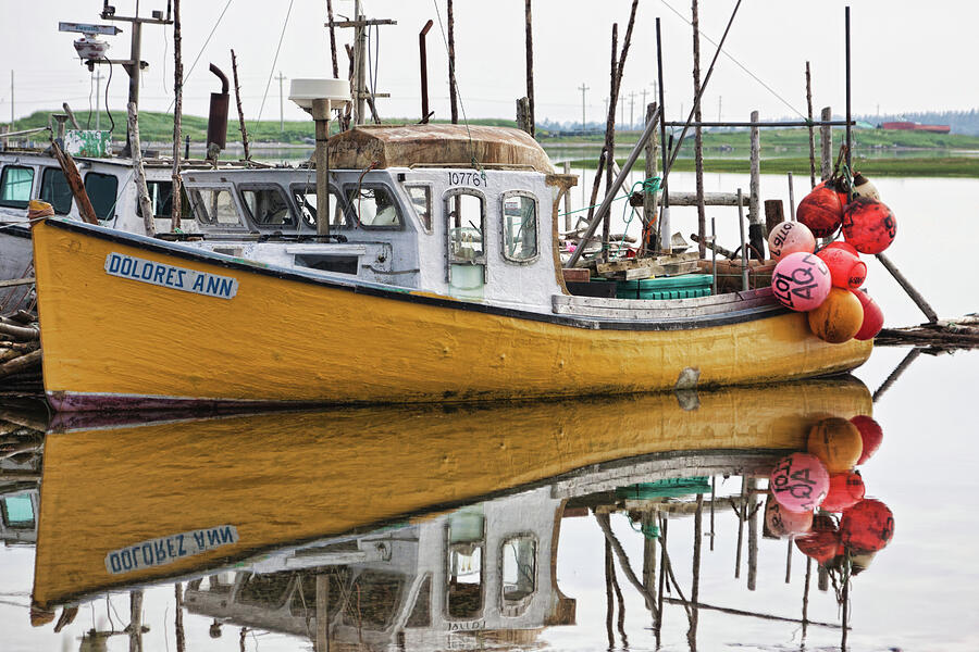 Dolores Ann the old fair lady Photograph by Tatiana Travelways
