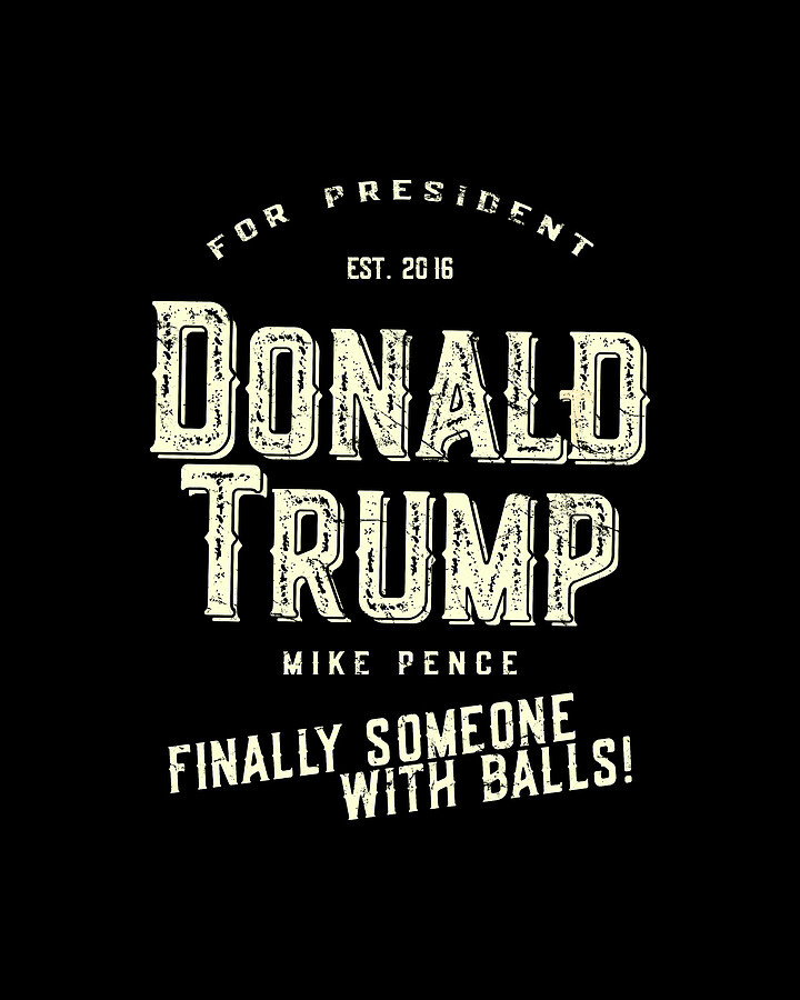 Donald Trump Mike Pence 2016 Retro Digital Art by Flippin Sweet Gear