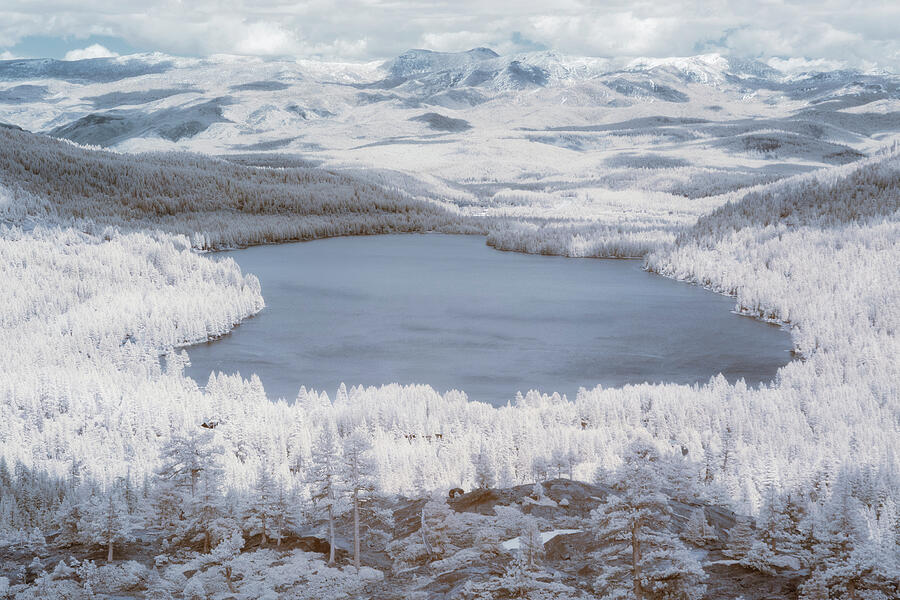 Donner Lake Infrared Vista - Truckee California Photograph by Mike Lee