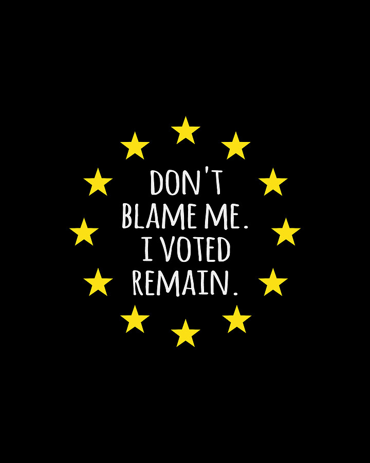 Dont Blame Me I Voted Remain EU Digital Art by Flippin Sweet Gear