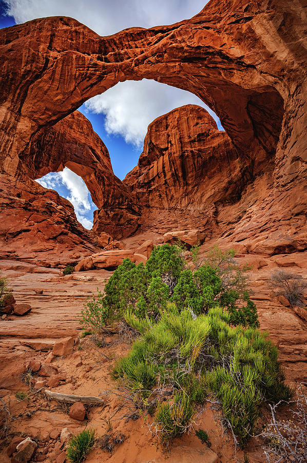 Double Arch and Plants, Utah - Horizontal Photograph by Abbie Warnock