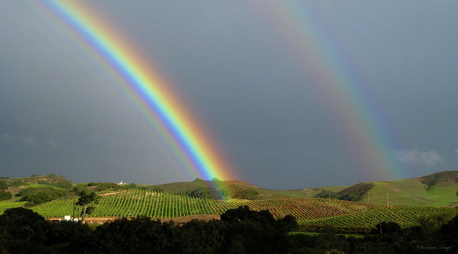 Double Rainbow Photograph by Barbara Siegel
