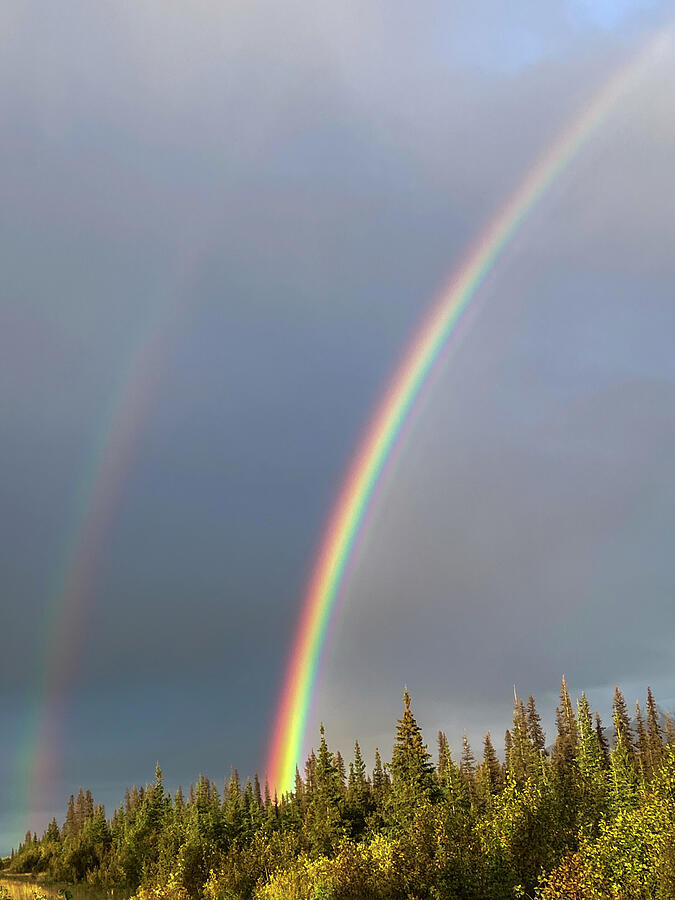 Double Rainbow Photograph by Harry Banks