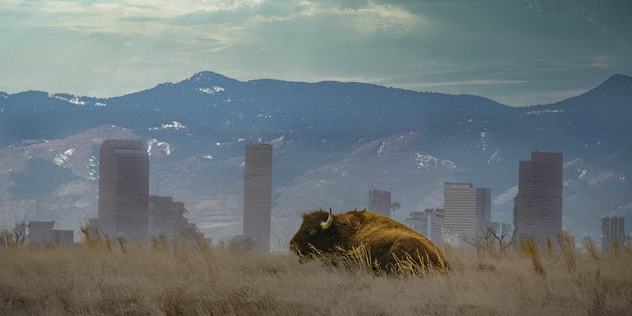 Downtown Denver Photograph by Jon Snyder