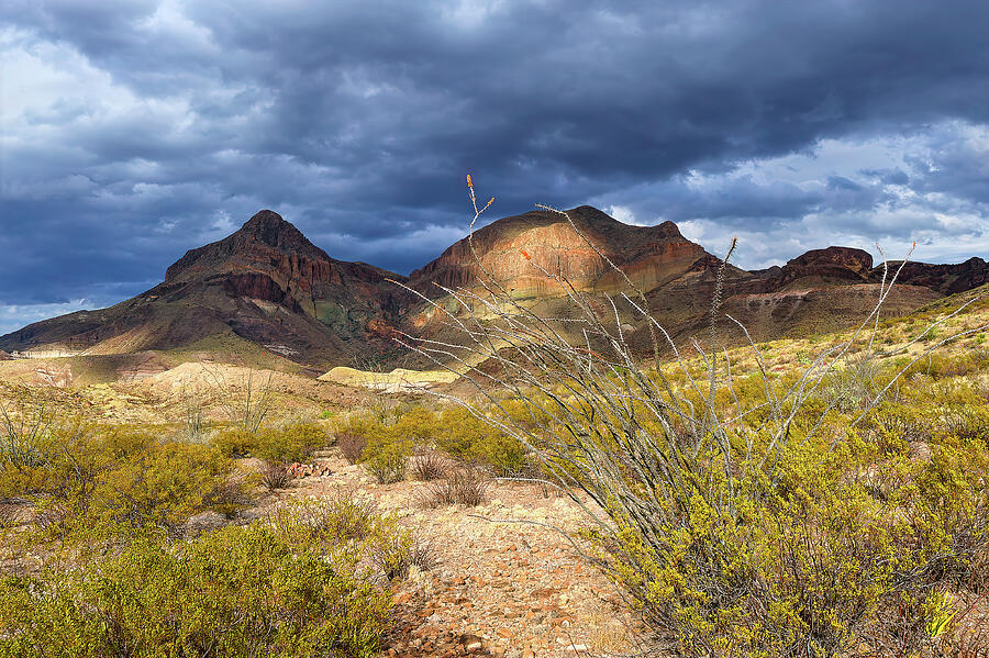 Dramatic Desert Landscape Photograph - Dramatic Desert Landscape by Michael Collins