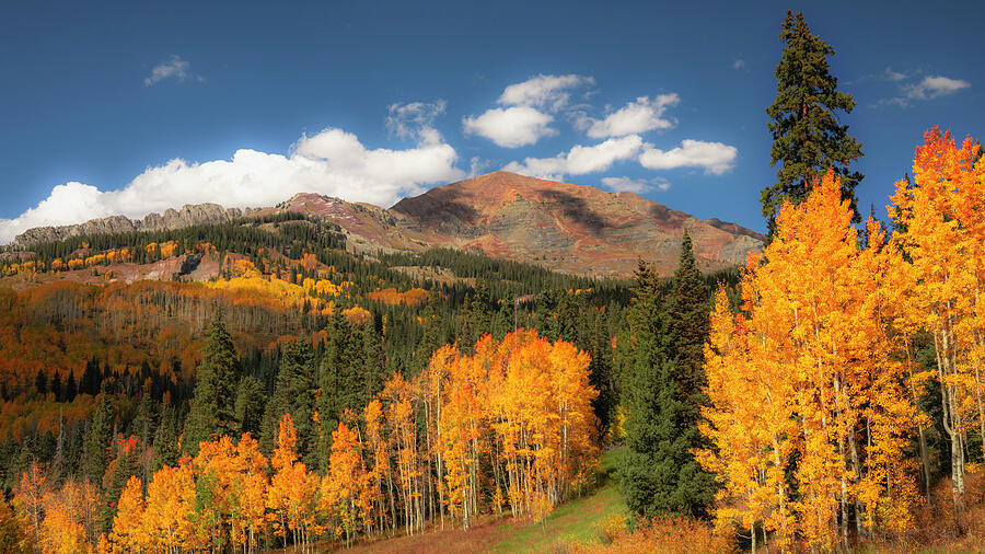 Dreamy Autumn Kebler Pass Colorado Photograph by Dan Sproul