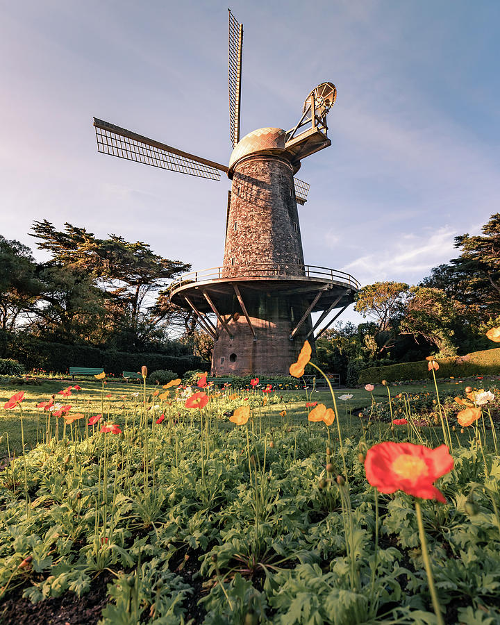 Dutch Windmill, San Francisco, California Photograph by Shannon Williams