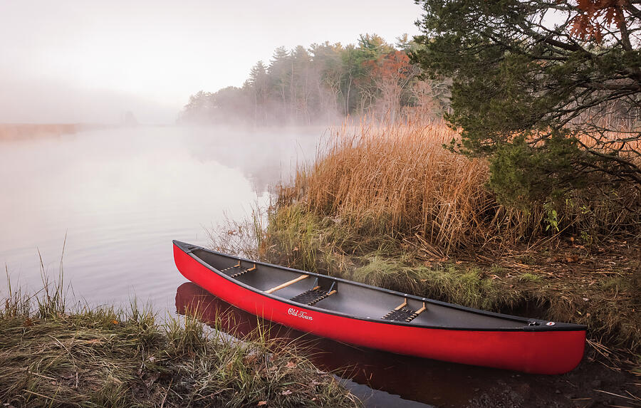 Early Morning Paddle Photograph by Steven David Roberts