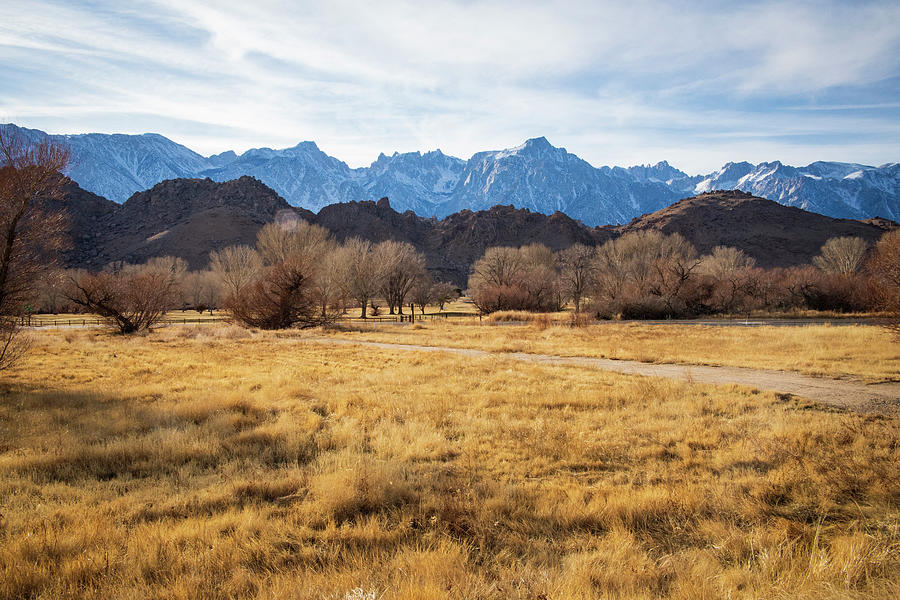 Eastern Sierras - Welcome center Photograph by Jonathan Babon