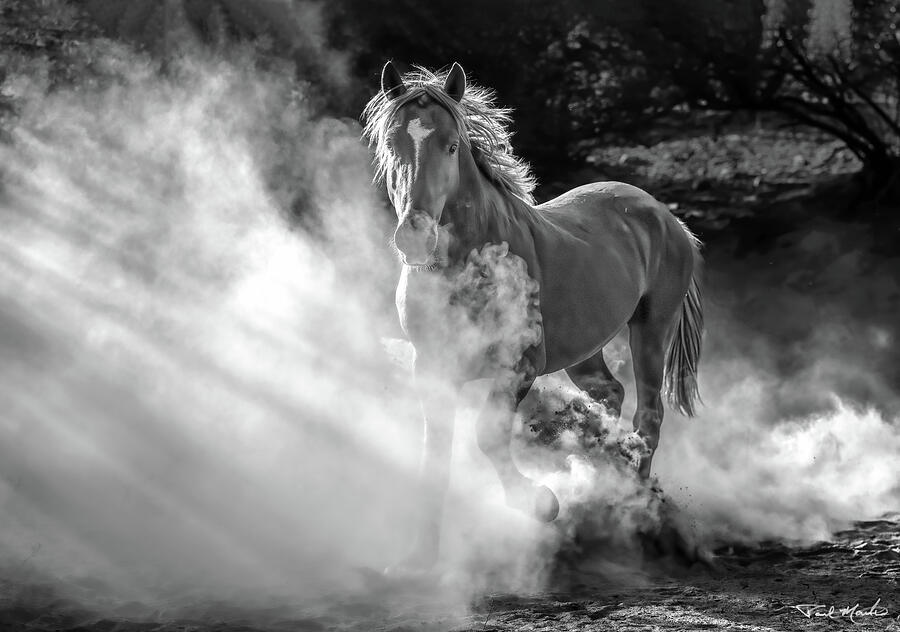 Eating Dust. Photograph by Paul Martin