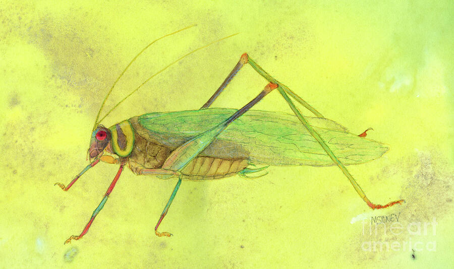 Ecuador Amazon Katydid Painting by Marie Stone-van Vuuren