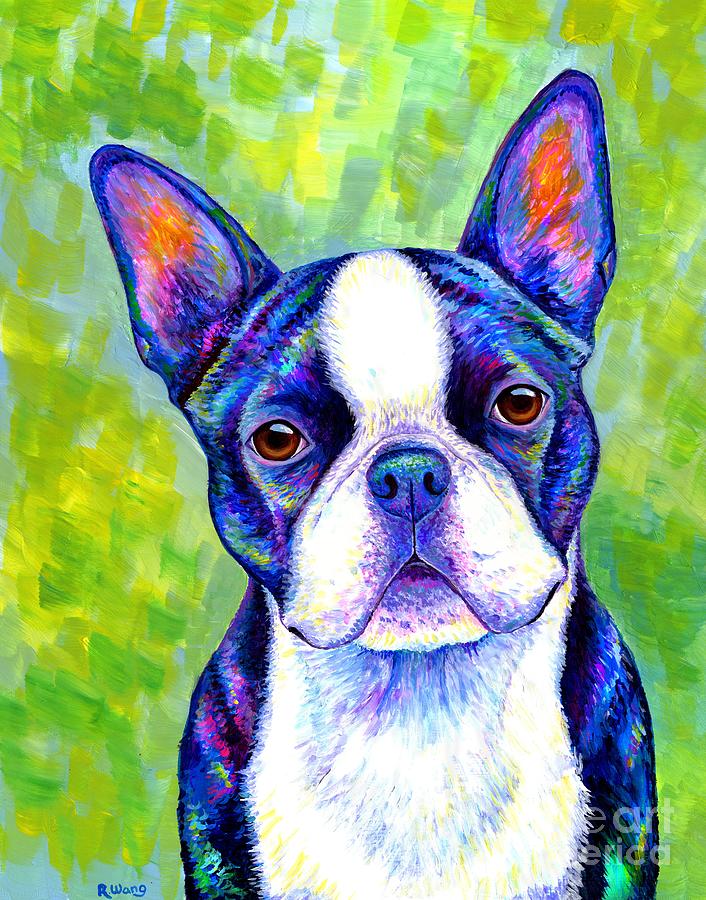 Effervescent - Colorful Boston Terrier Dog Painting by Rebecca Wang