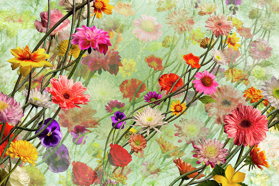 Vibrant Floral Symphony Digital Art - Efflux by Steven Lutz