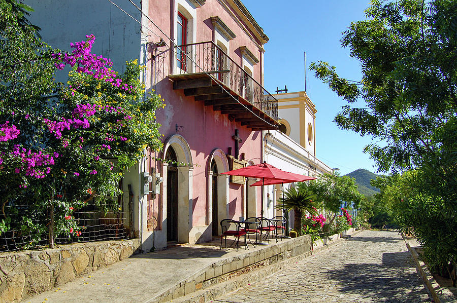 El Triunfo Photograph by William Scott Koenig