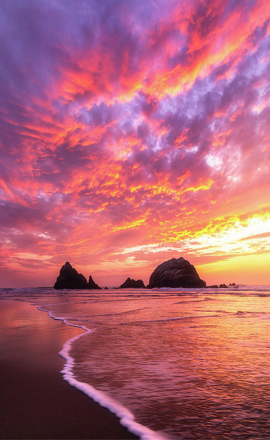 Electric Photograph by Louis Raphael