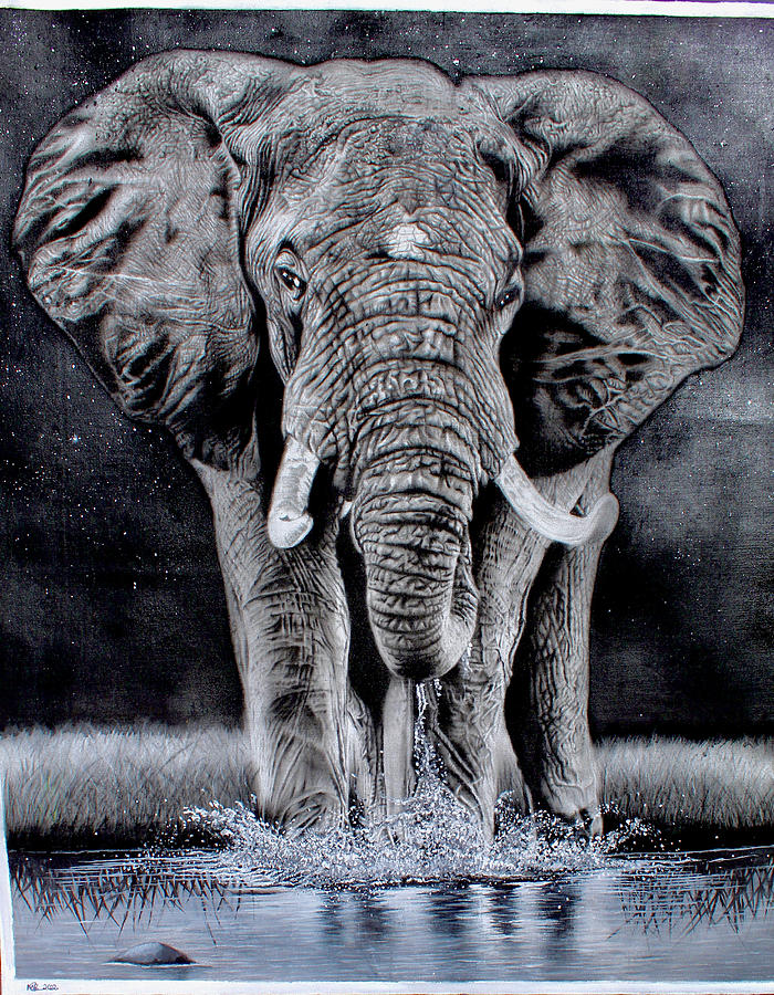Elephant Night Painting by Mayamiko Banda