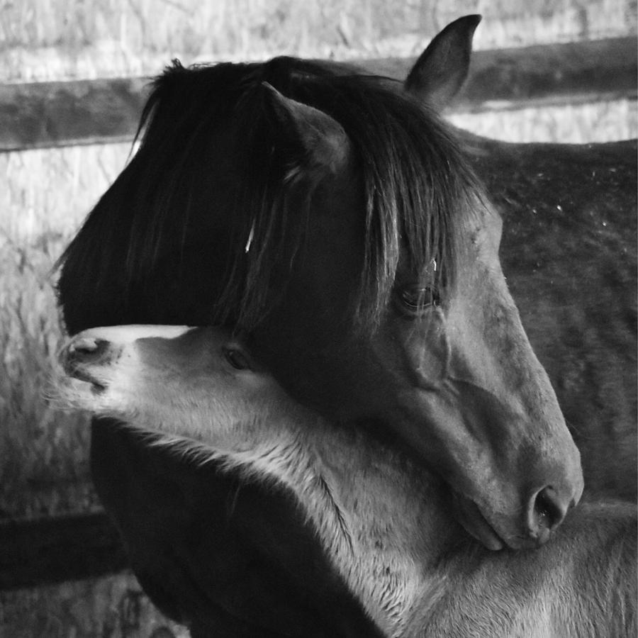 Elinor and Wendell Photograph by Alden White Ballard