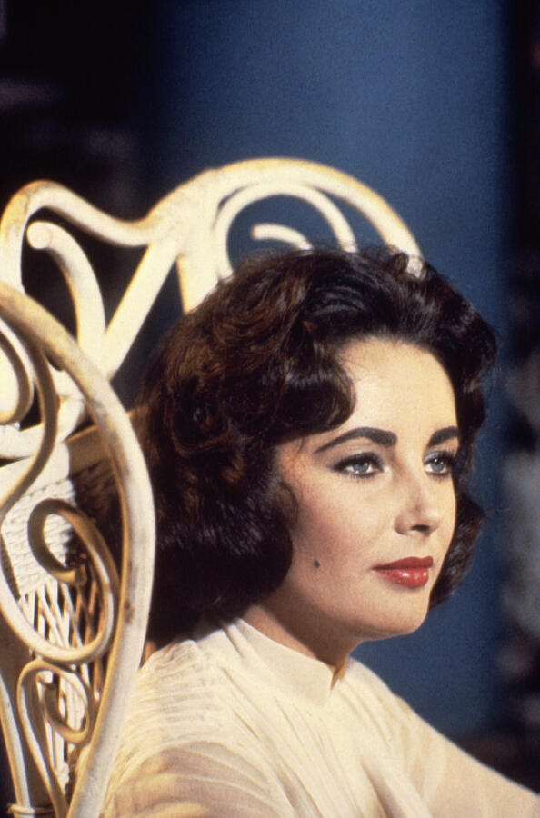 True Ellison Elizabeth Taylor Elegant Glamour Vintage Hollywood Actress 1960 by ...