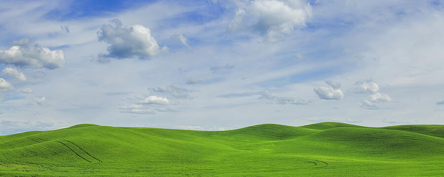 Verdant Rolling Hills Photograph - Emerald Waves by Kevin Schwalbe