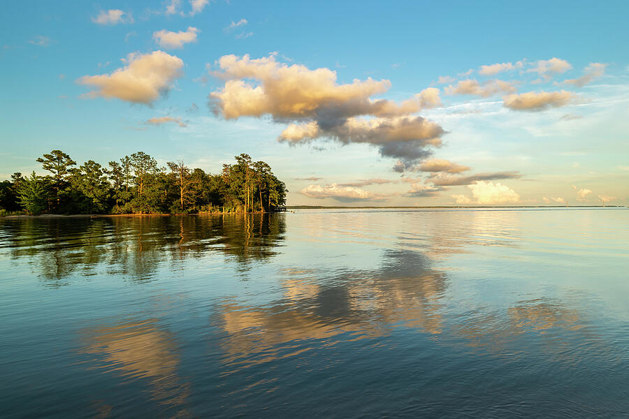Enjoy the Simple Beauty Photograph by David Fountain