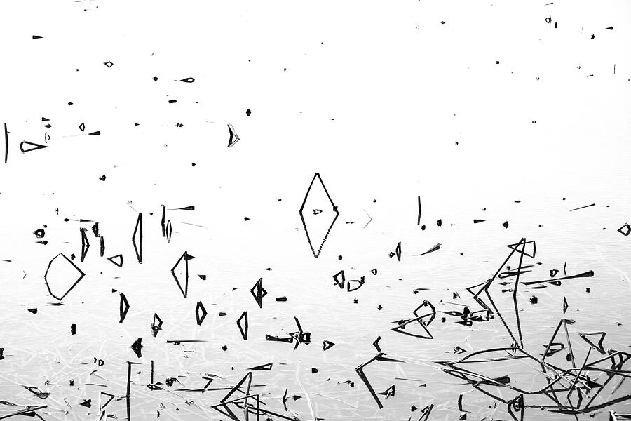 Ephemeral Photograph by Mia Badenhorst