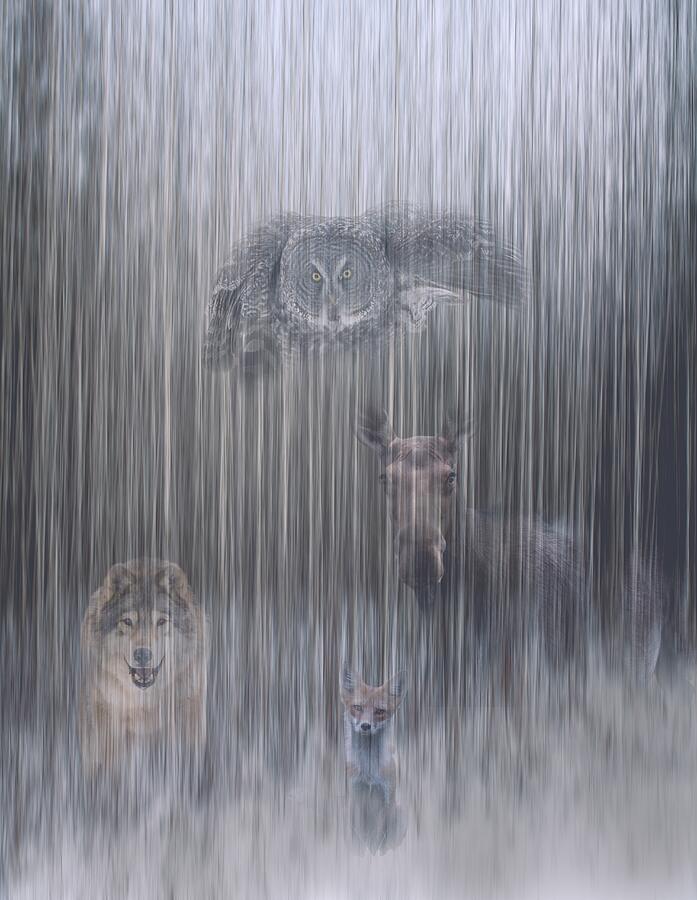 Ethereal Forest Photograph by Linda Ryma