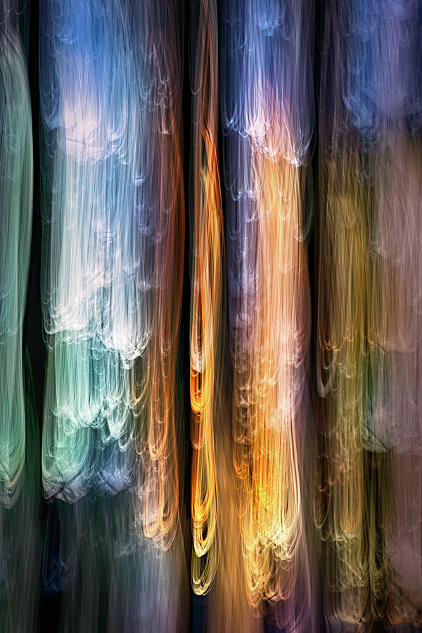 Evening Cedars Photograph by Ursula Abresch