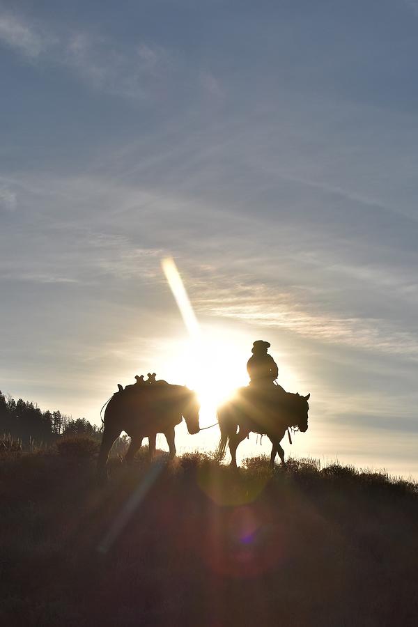 Evening Commute Photograph by Alden White Ballard