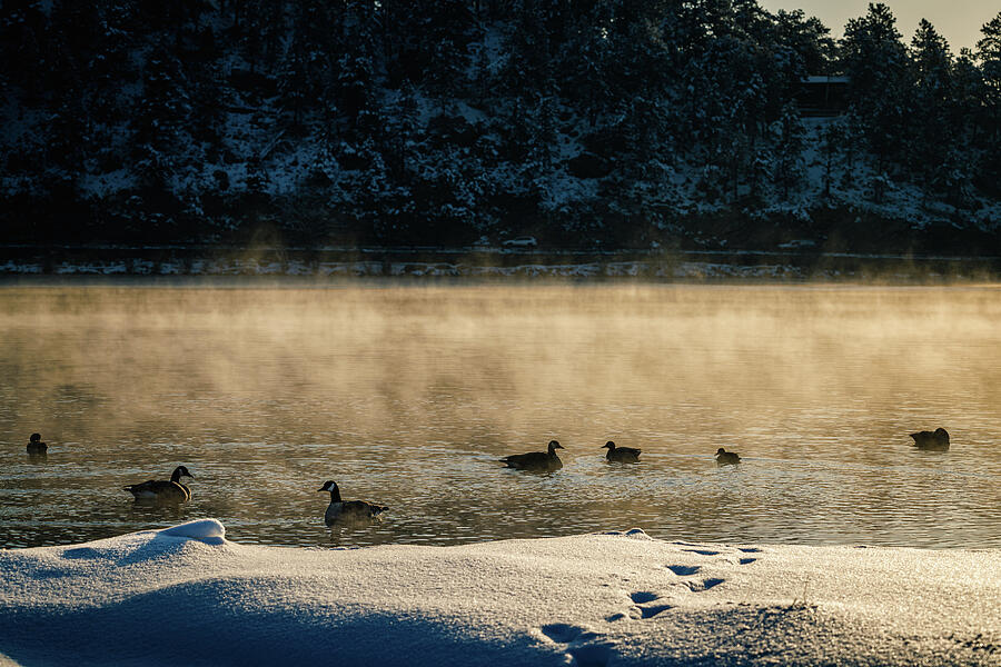 Evergreen Lake, Colorado - Lake Mist Photograph by Robert Niemeier