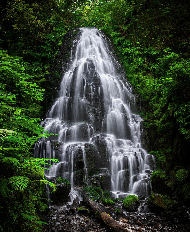Fairy Falls, Oregon - Full View - Vertical Photograph by Abbie Warnock