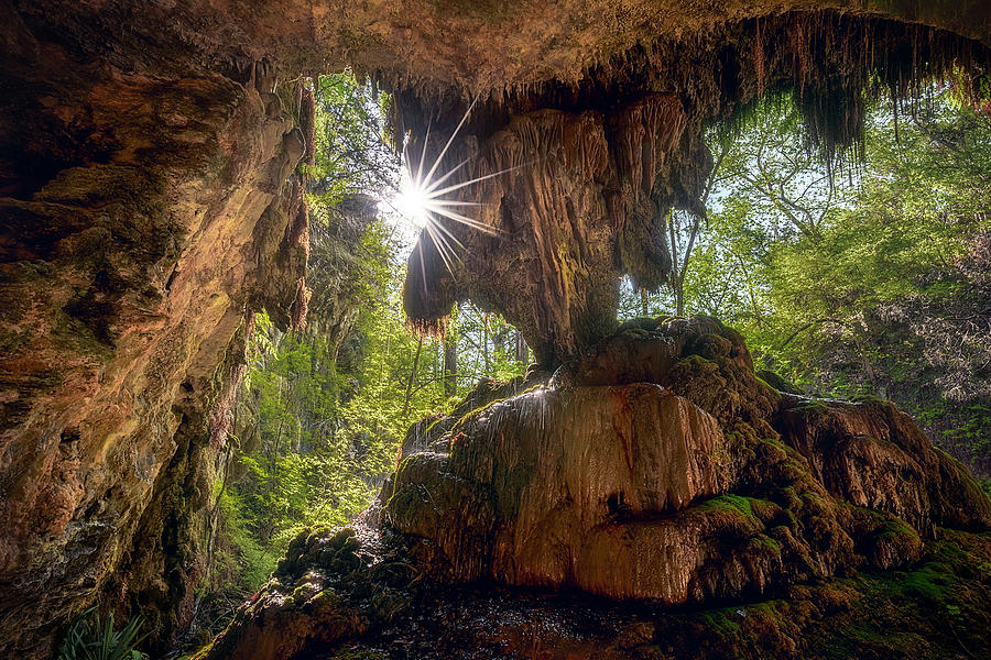 Fairyland Photograph by Slow Fuse Photography