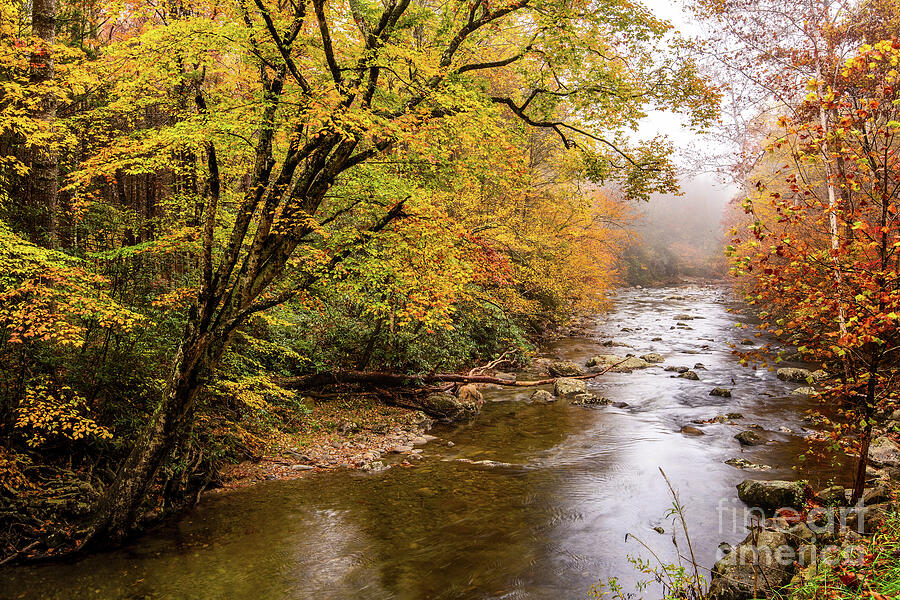 Fall and Fog on the Little River Photograph by Jimmy Pappas