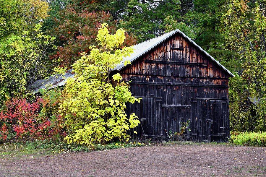Fall Barn Photograph by Steven Nelson