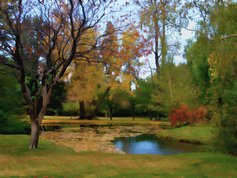Fall Colors Photograph by Barbara Siegel