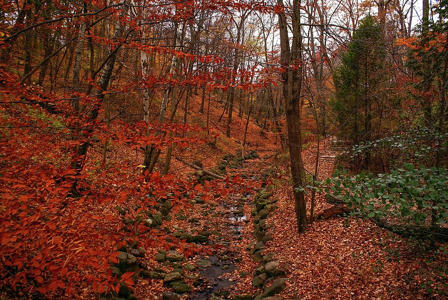 Fall in Grant Park Photograph by Deb Beausoleil