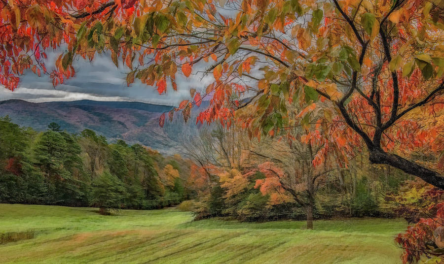 Fall in the Cove, Stylized Photograph by Marcy Wielfaert