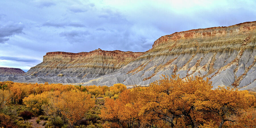 Majestic Mountain and Autumn Foliage Photograph - Fall in Utah by Maryanne Keeling