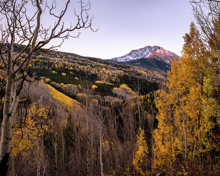 Fall Mountians Photograph by Matt Halvorson