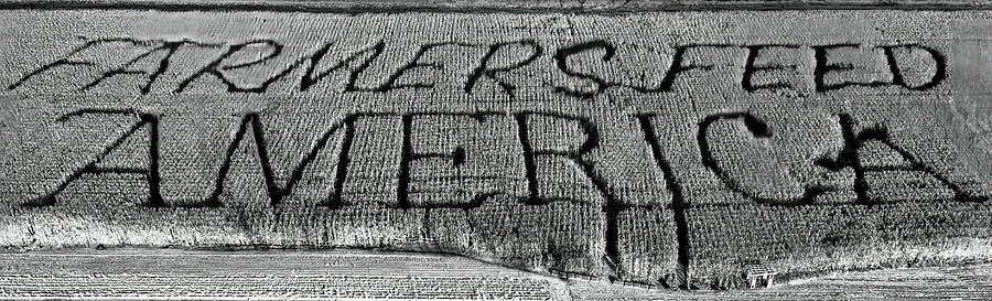 Farmers Feed America Patch BW a Photograph by Susan Candelario